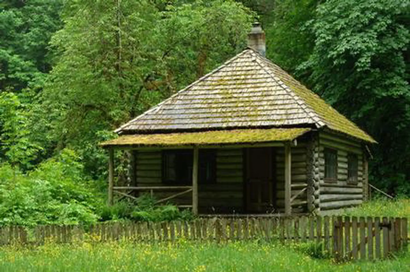 Interrorem Cabin — INTERROREM CABIN