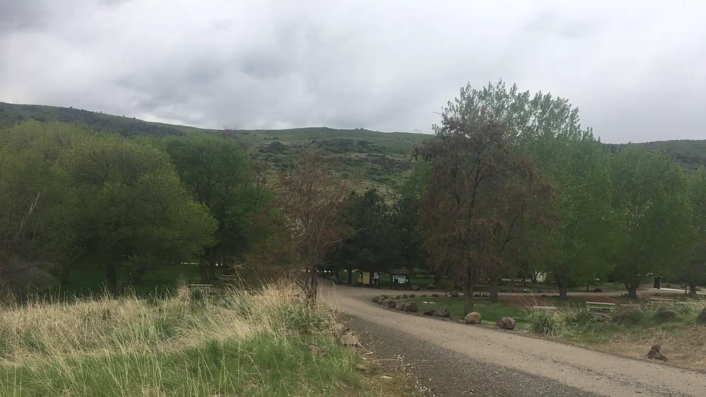 Mann Creek