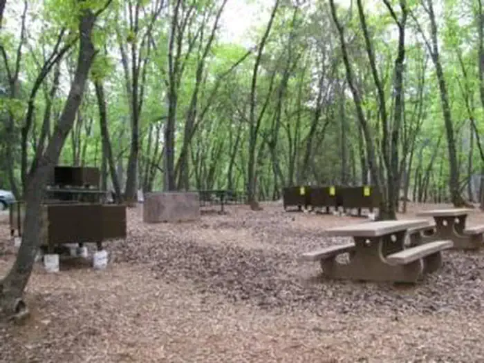 Dry Creek Group Campground (whiskeytown Nra) — View showing picnic tables