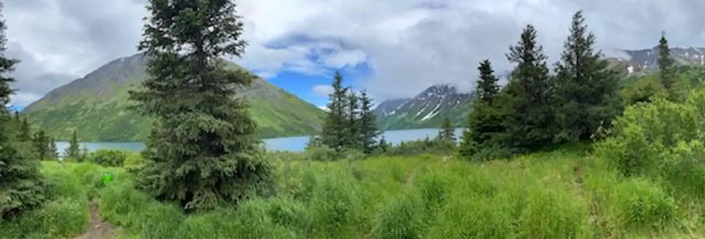 Crescent Saddle Cabin — Lake view.