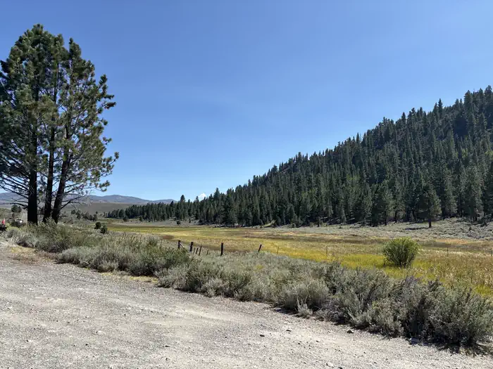 Sonora Bridge Campground — A photo of facility Sonora Bridge with Picnic Table, Fire Pit, Shade, Tent Pad