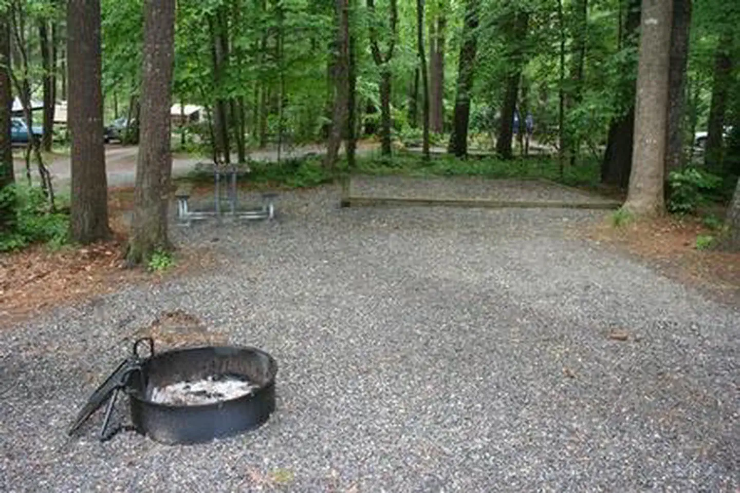 Cataloochee Campground — CATALOOCHEE CAMPGROUND