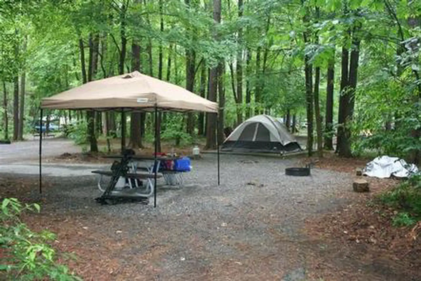 Cataloochee Campground — CATALOOCHEE CAMPGROUND