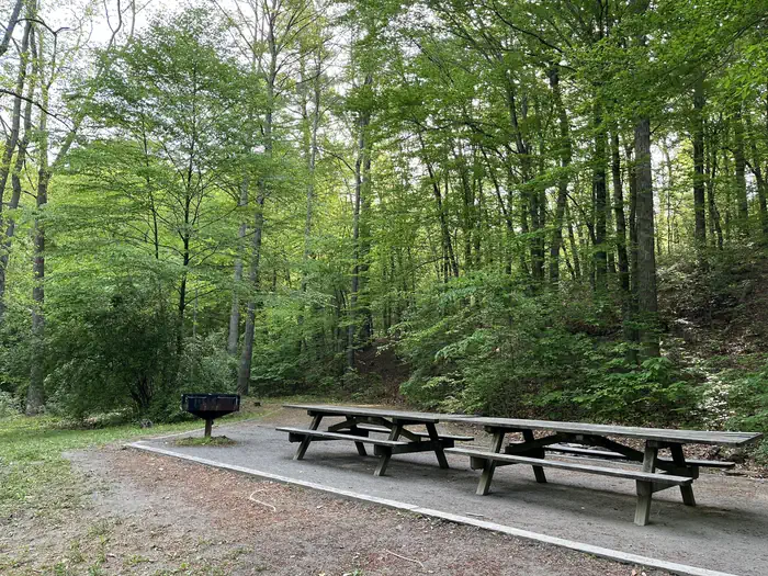 Hopper Creek Group Camp — Two wooden picnic tables sit on a gravel pad with a grill on the left and trees behind