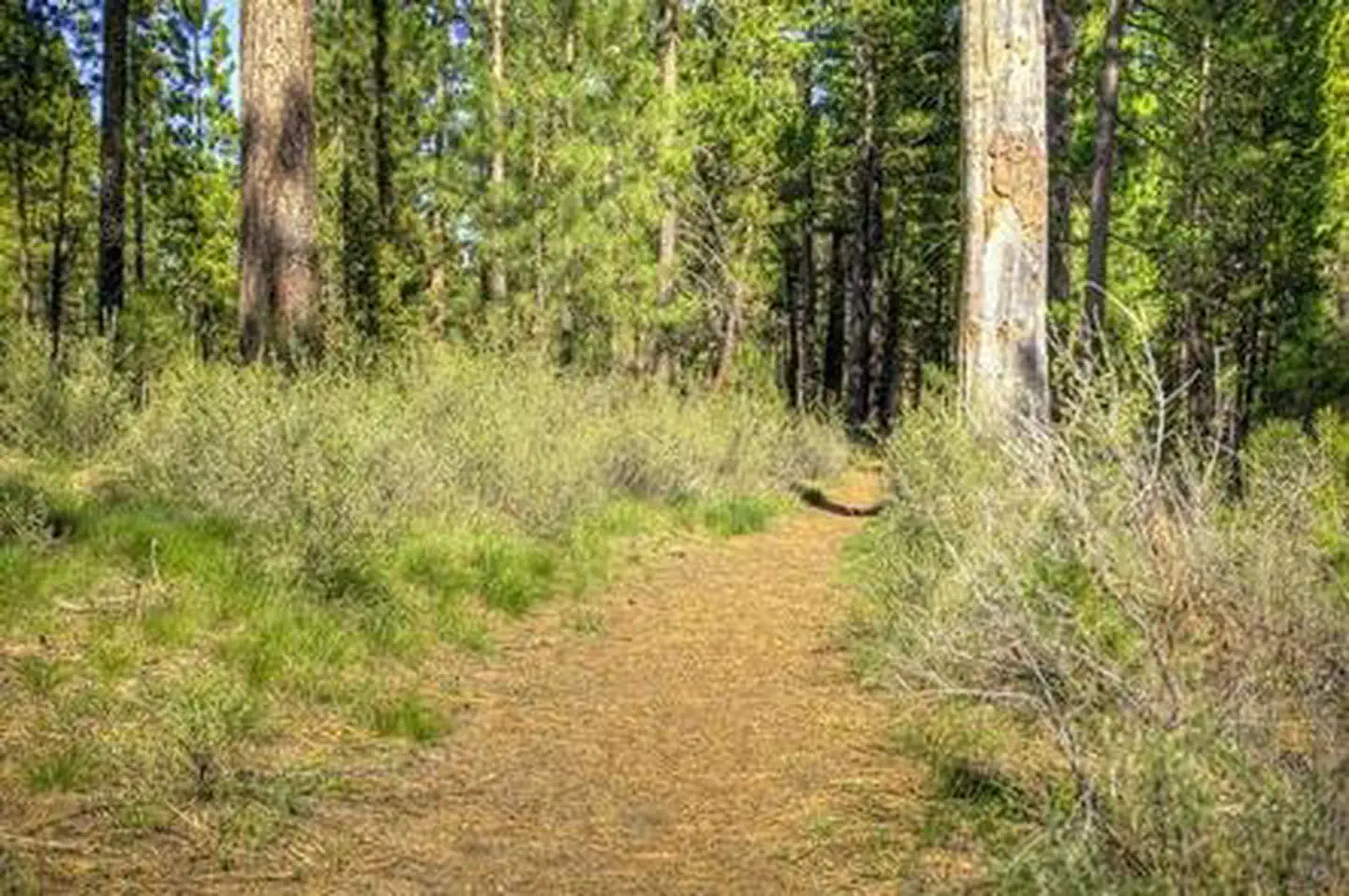 Big River Campground — BIG RIVER