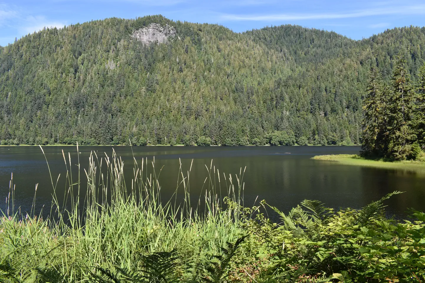 Heckman Lake Cabin β Heckman Lake from Cabin