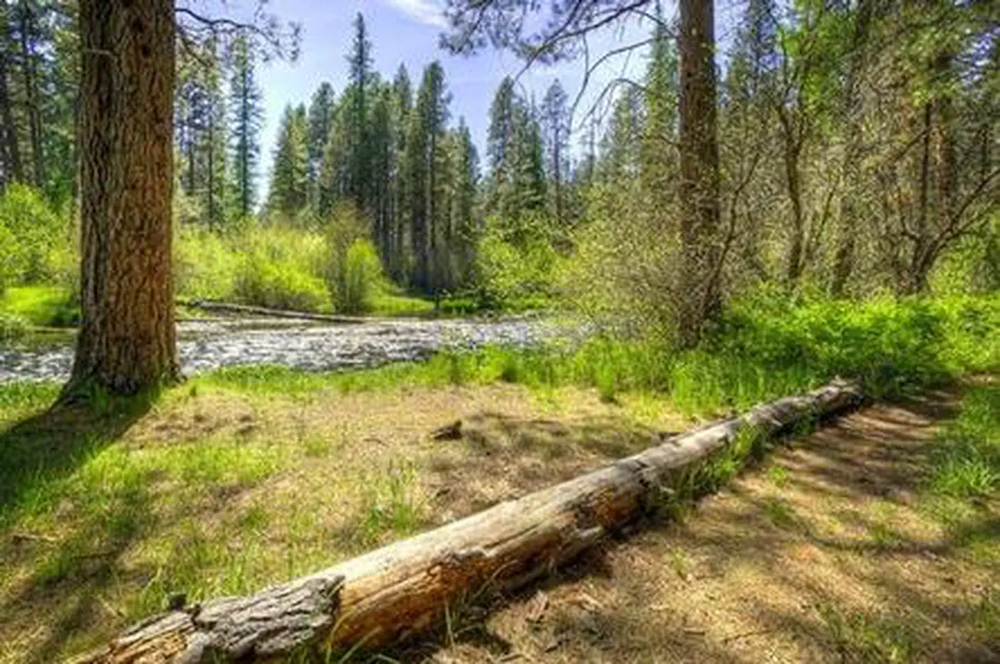 Gorge Campground — GORGE CAMPGROUND