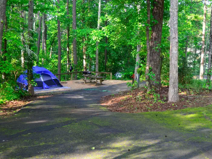 Sweetwater Campground — Sweetwater Campground site 16.