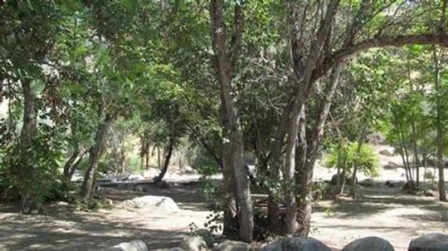 Headquarters Campground — HEADQUARTERS
