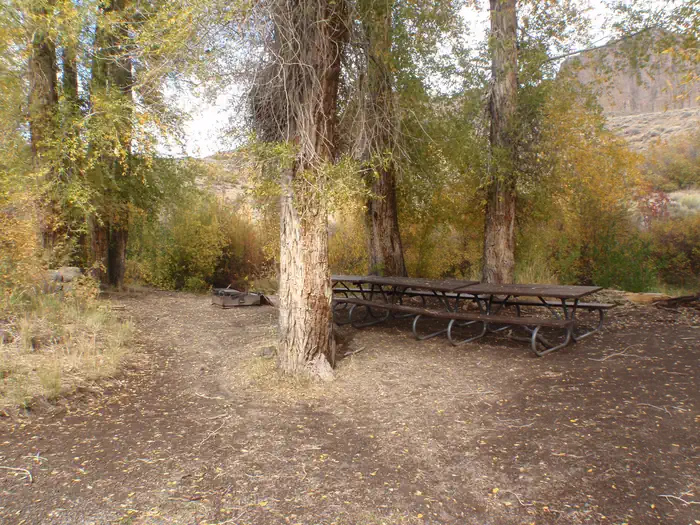 Red Creek Group Site — Picnic Tables at the campsite