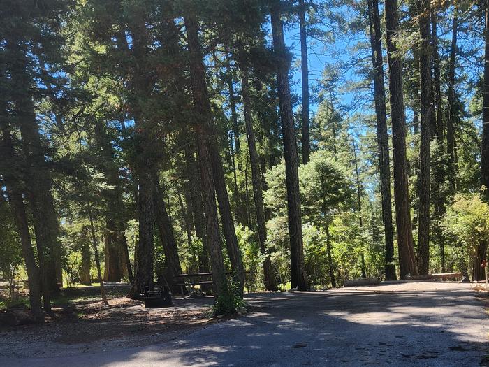 Apache Campground  — Host site at Apache CG