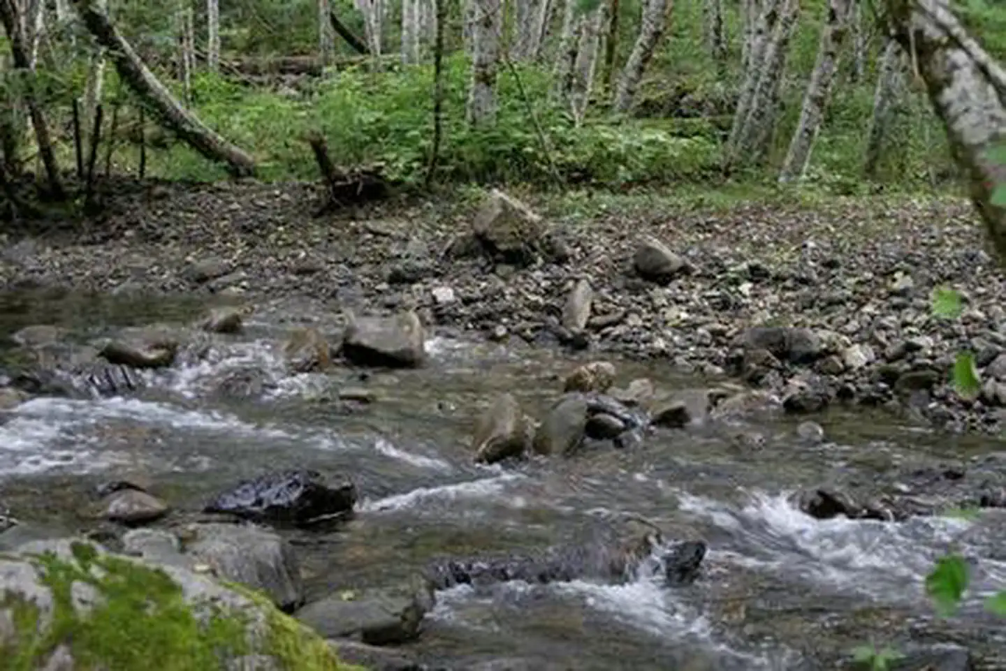 Coal Creek Group Camp — Coal Creek Group Camp