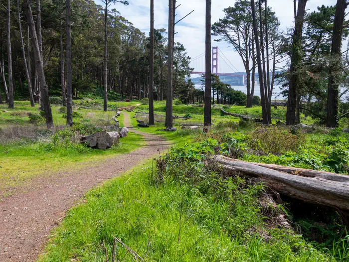 Kirby Cove Campground — Dirt path leading through Kirby Cove Campground. Through the tall trees, there is a view of the Golden Gate Bridge.