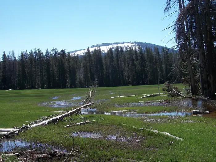 Big Meadows Cabin (ca) — Big Meadows 