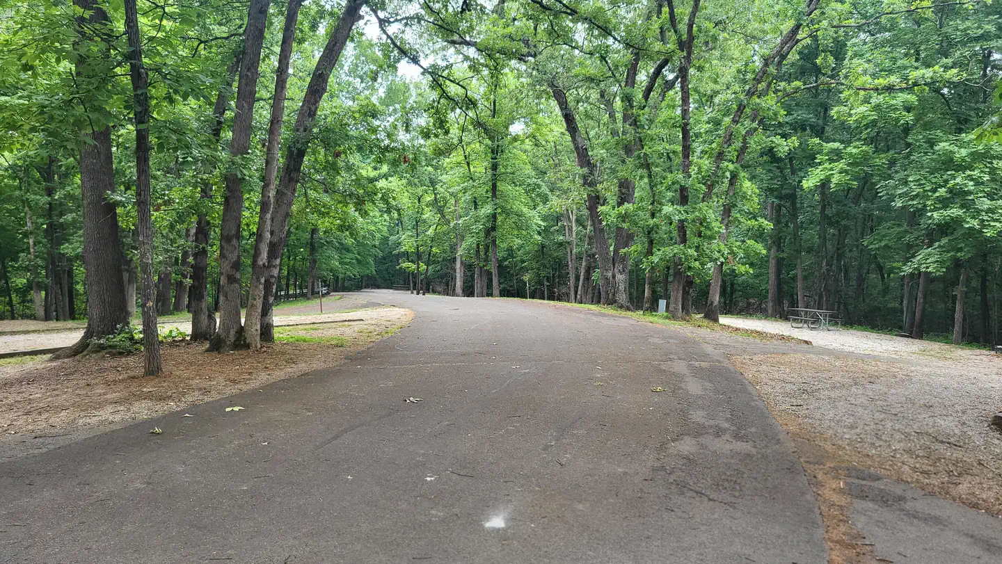 Coon Creek (il) — C Leg - Coon Creek Campground