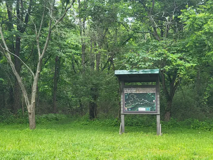 Coon Creek (il) — Hide n Seek at Coon Creek