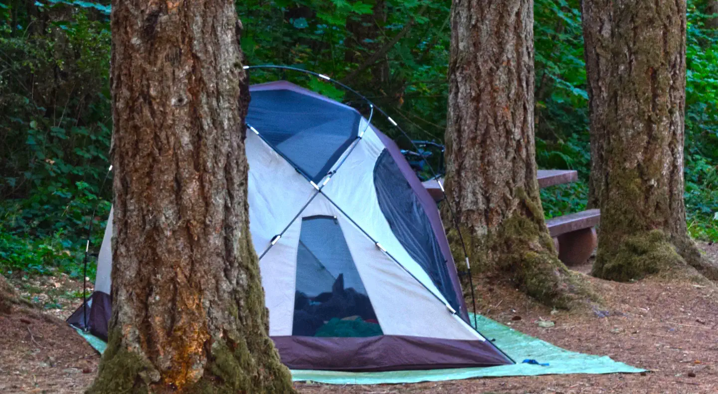 Schwarz Park — Campsite