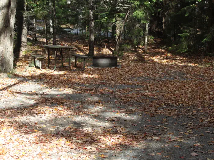 Blackwoods Campground