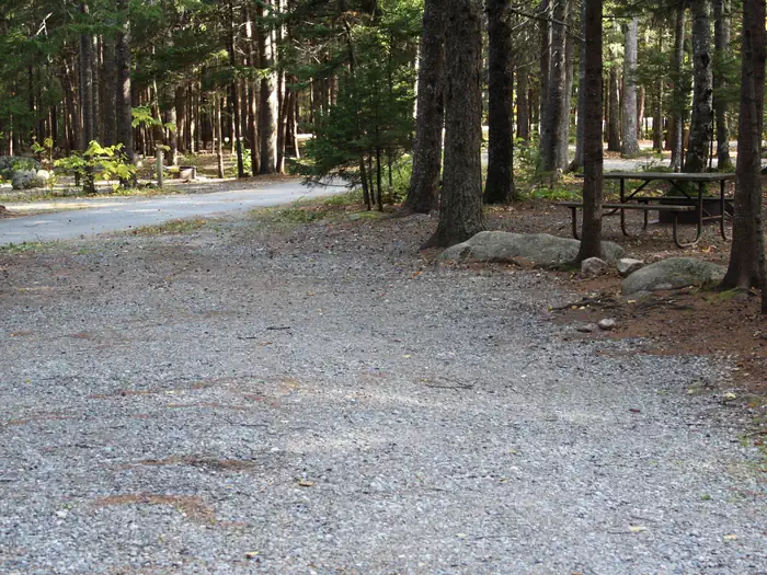 Blackwoods Campground