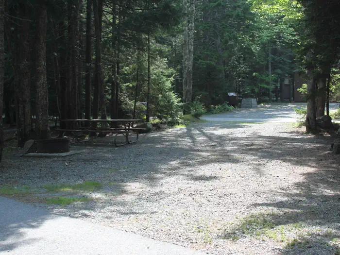 Blackwoods Campground