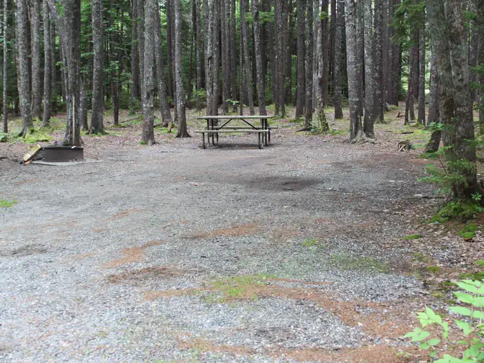 Blackwoods Campground