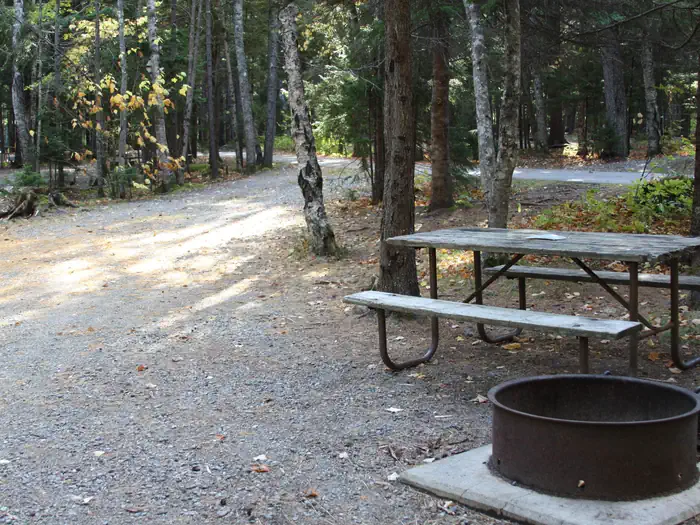 Blackwoods Campground