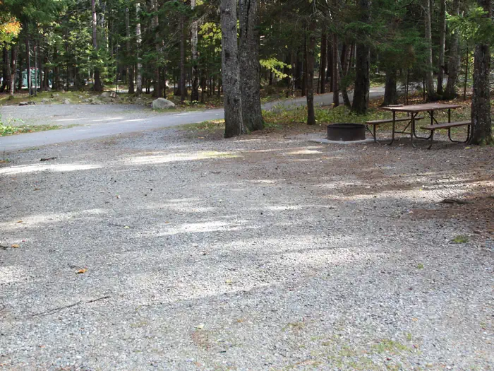 Blackwoods Campground