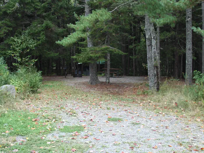 Blackwoods Campground