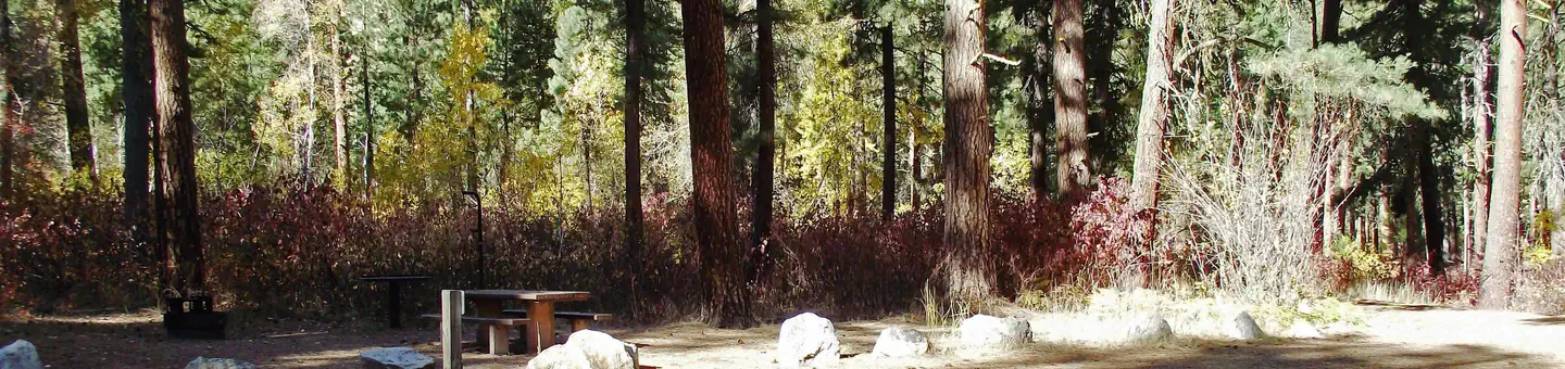 Dog Creek Campground