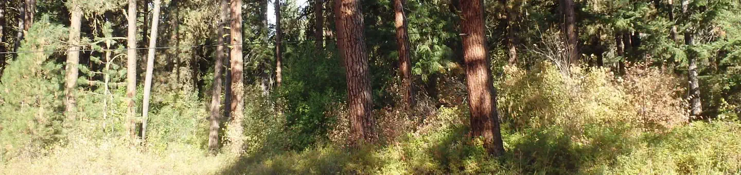Hause Creek Campground
