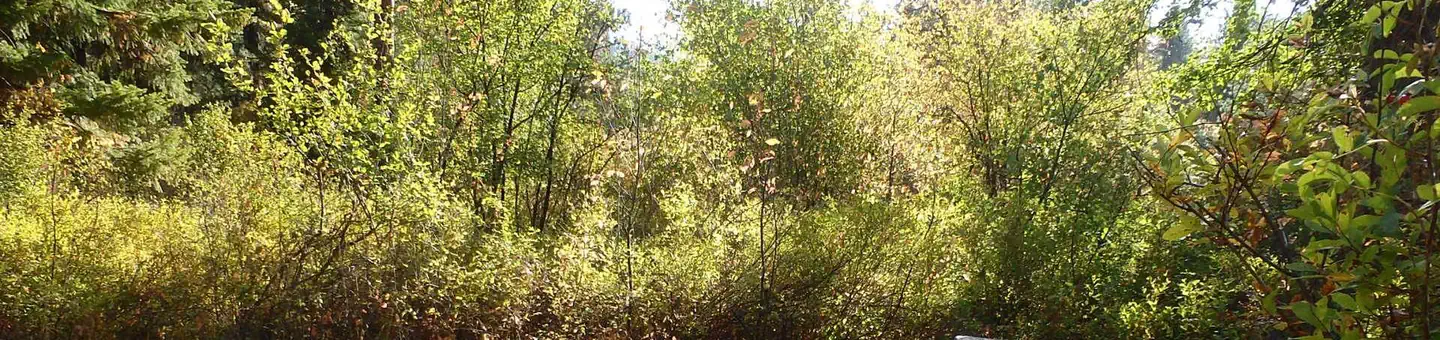 Hause Creek Campground