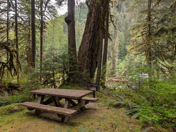 Mineral Park Campground