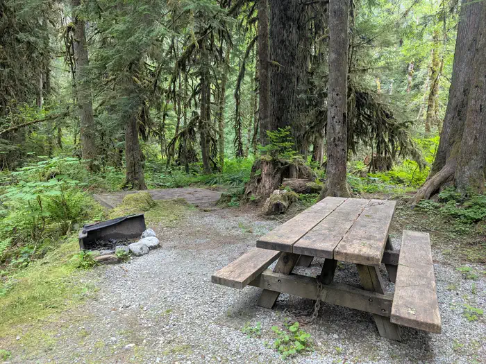Mineral Park Campground