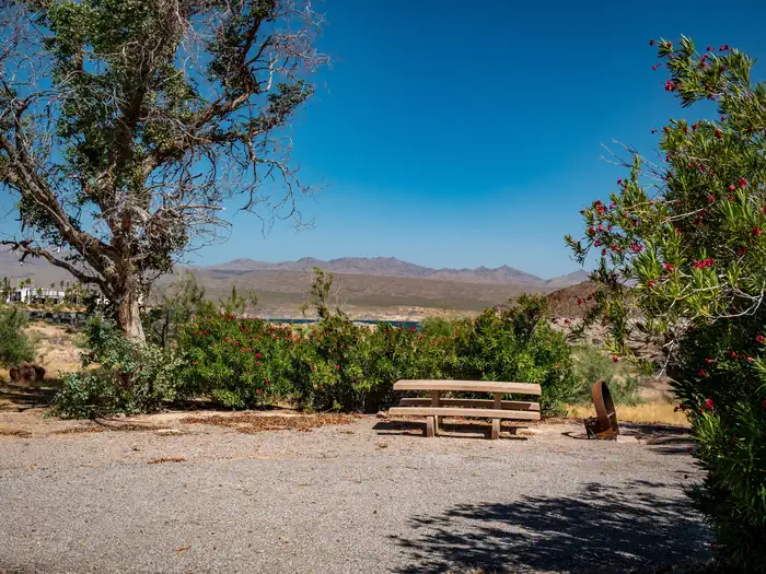 Echo Bay RV Park