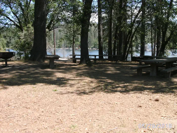 Oak Point Picnic
