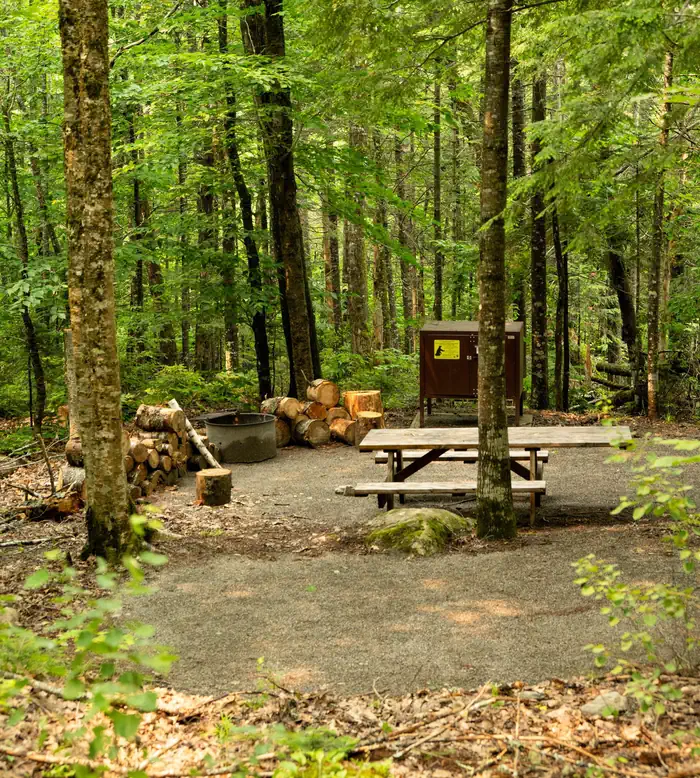 Katahdin Woods & Waters National Monument Camping