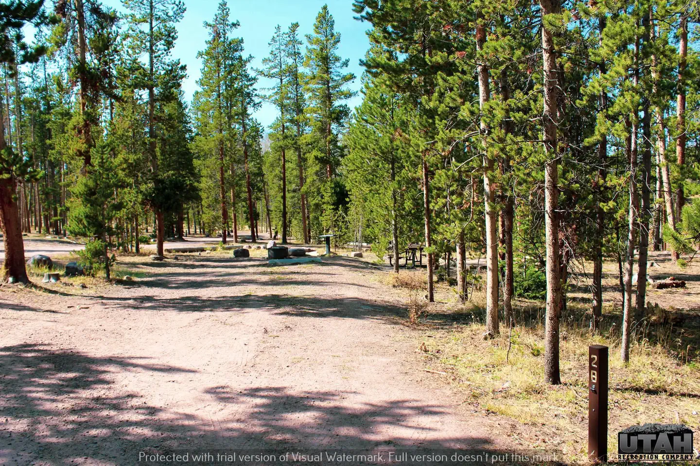 Marsh Lake Campground