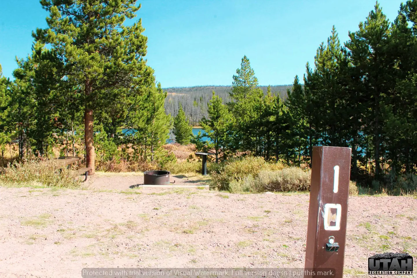 Marsh Lake Campground