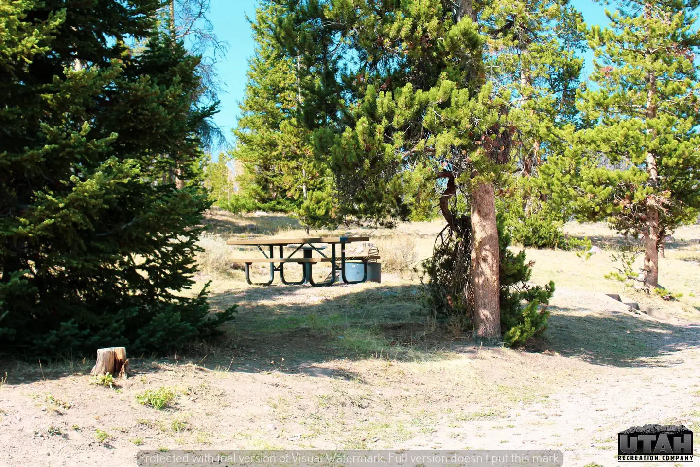 Marsh Lake Campground