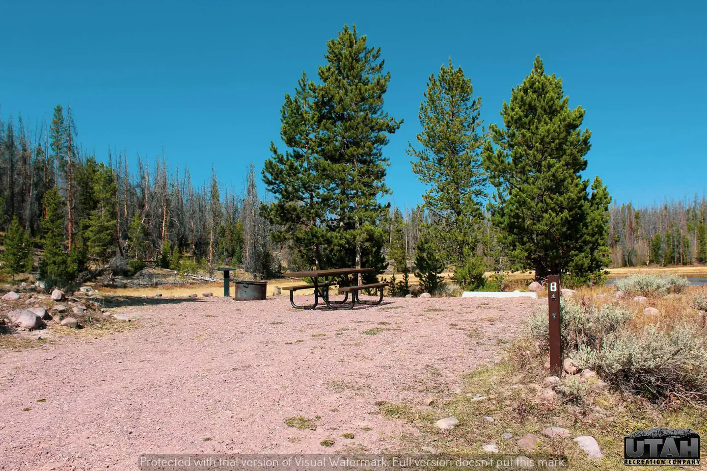 Marsh Lake Campground