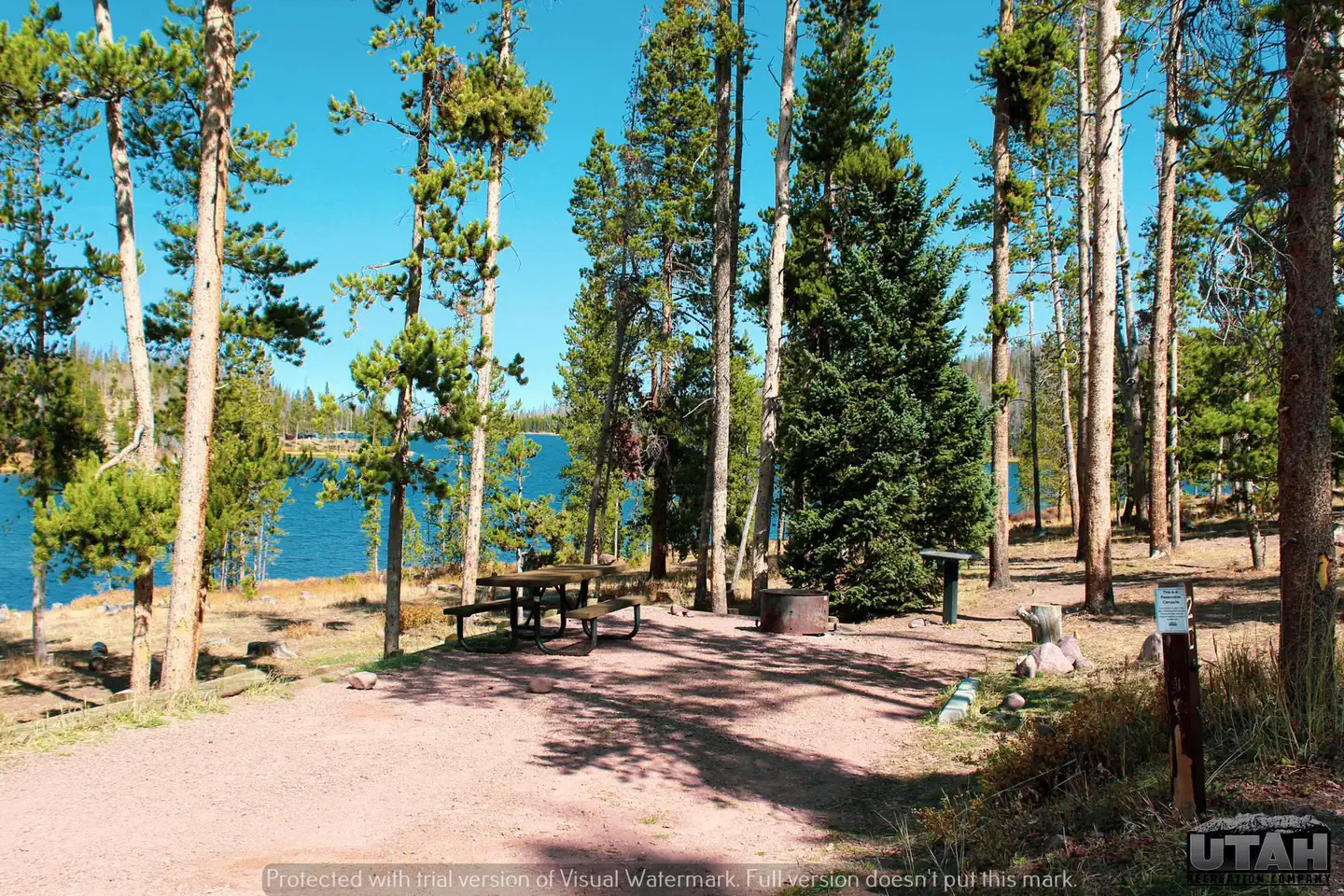 Marsh Lake Campground