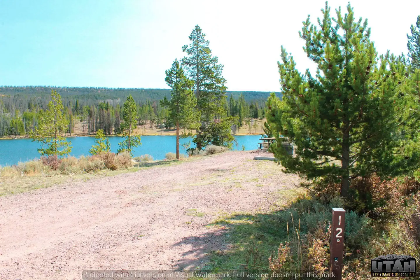 Marsh Lake Campground