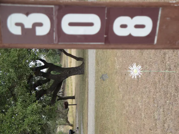 Flatrock (texas)