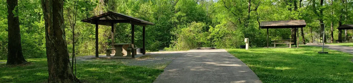 Tar Camp