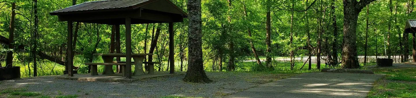Tar Camp