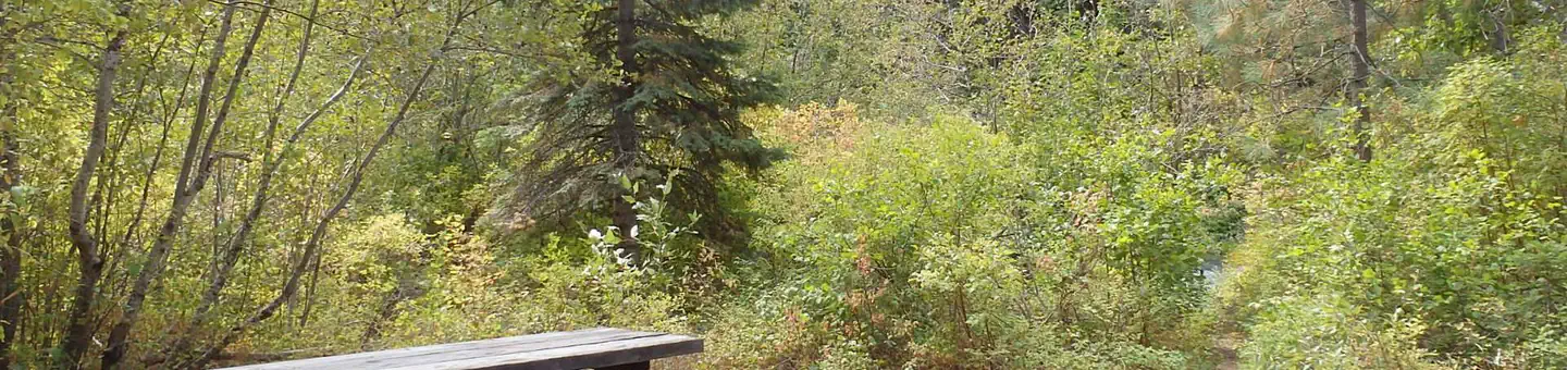 Willows Campground