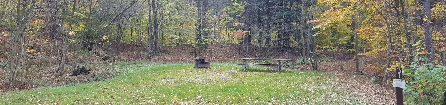 Red Bridge Recreation Area - Allegheny National Forest