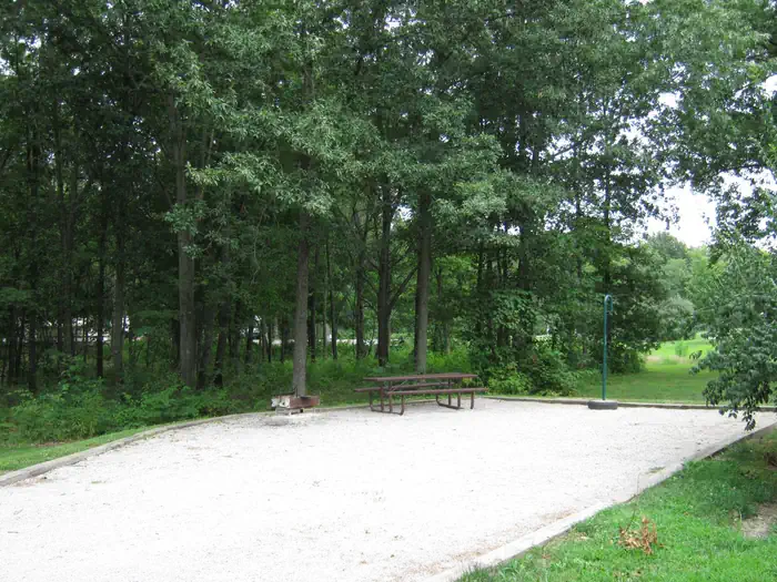 Forrest W. Bo Wood