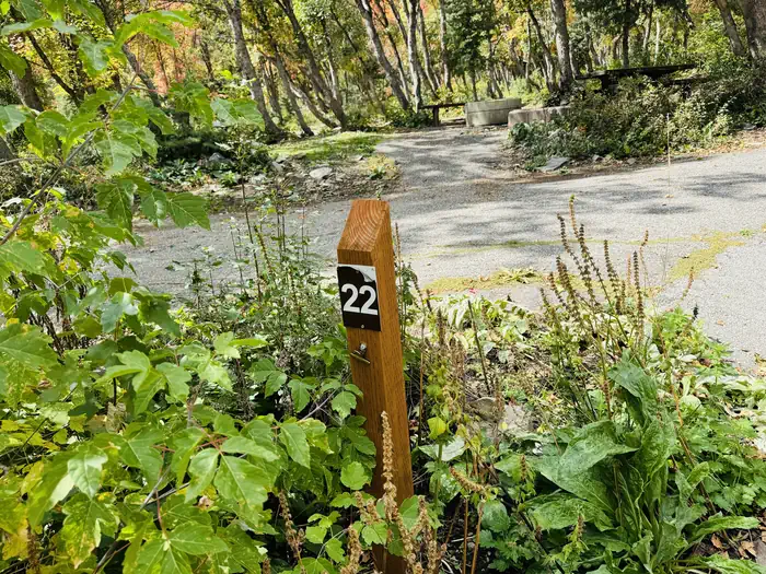 Mount Timpanogos Campground