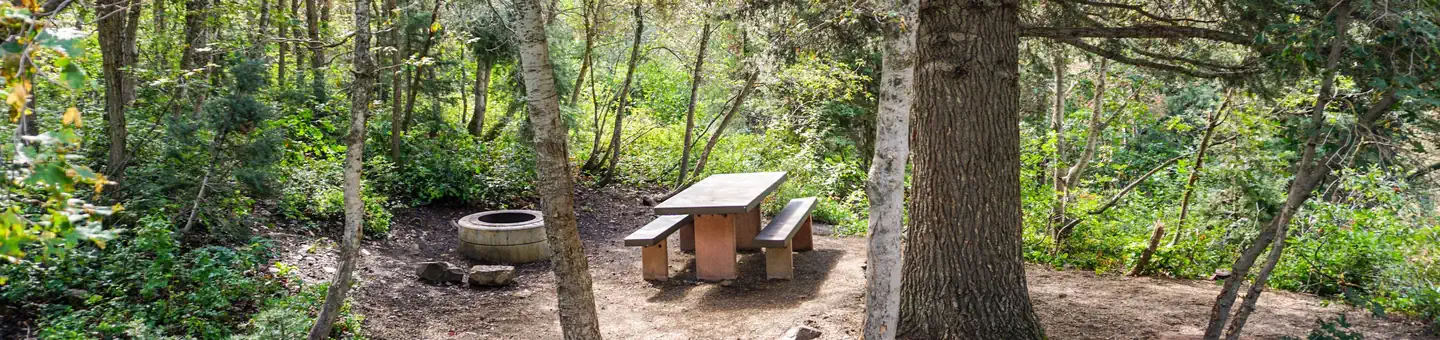 Mount Timpanogos Campground